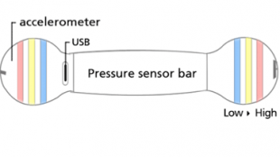 hodu-cross-section.png