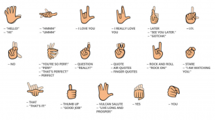 a guide showing phrases in ASL on the signily keyboard