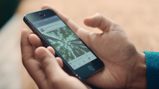 a person holding an iPhone with the Facebook app open. There is an image of trees displayed on the app.