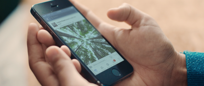 a person holding an iPhone with the Facebook app open. There is an image of trees displayed on the app.