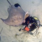 Bruce with a stingray.