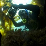 Bruce taking photos underwater. He is seen wearing scuba gear and holding a camera.