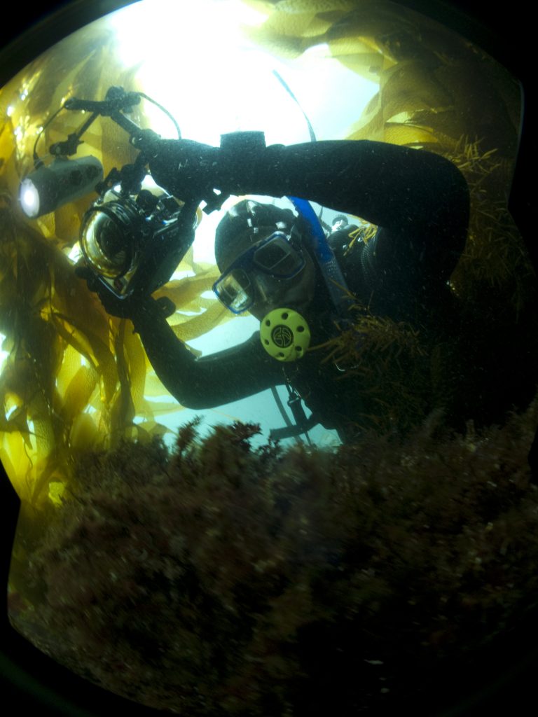 Bruce taking photos underwater. He is seen wearing scuba gear and holding a camera.