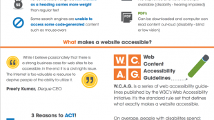 the essential guide to web accessibility. see text below for description.