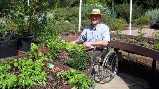 A man wearing a hat is seen in his wheelchair. In front of him are some plants. It looks like he is in a garden.