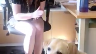 Becca sitting in a chair and signing to her deaf dog