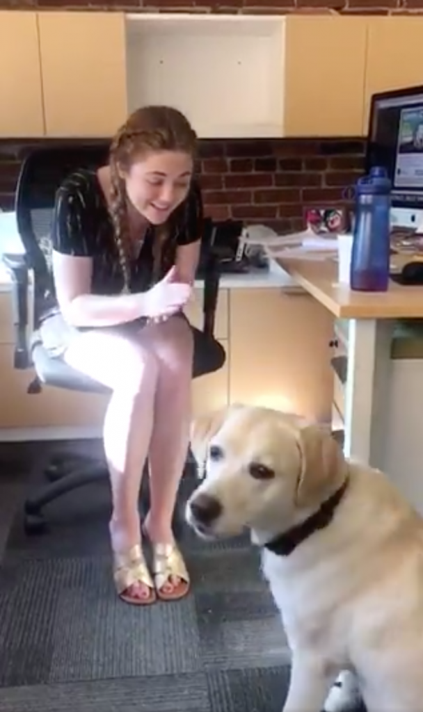 Becca sitting in a chair and signing to her deaf dog