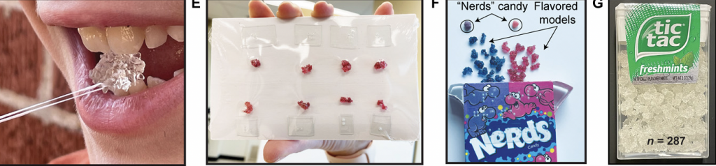 image showing a student gripping a non edible molecule between their teeth and holding the string in their hand, another person showing molecule dummies sealed and arranged in a bag, a box of flavored edible candies in a "nerd" box, and another set of edible white colored molecules in a tic tac box that's labelled n=287.