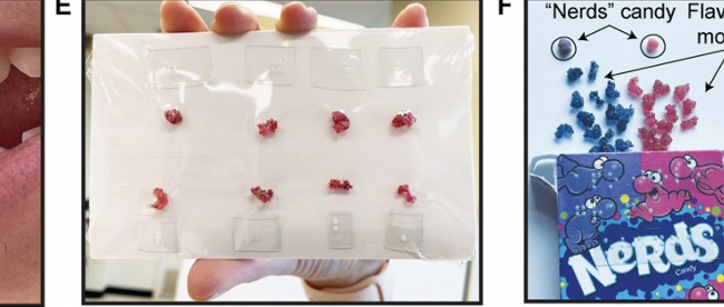 image showing a student gripping a non edible molecule between their teeth and holding the string in their hand, another person showing molecule dummies sealed and arranged in a bag, a box of flavored edible candies in a 