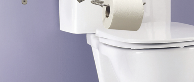 image of extend-a-roll installed in a bathroom with its arm extended out.