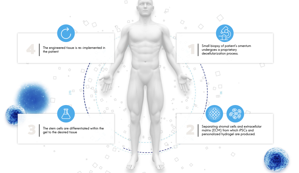 1. Small biopsy of patient's omentum undergoes a proprietary decellularization process 2. Separating stromal cells and extracellular matrix (ECM) from which iPSCs and personalized hydrogel are produced. 3. The stem cells are differentiated within the
gel to the desired tissue 4. The engineered tissue is reimplemented in the patient.