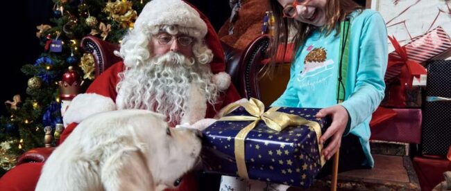 a little girl seen sitting next to Santa Claus and looking at a guide dog and smiling