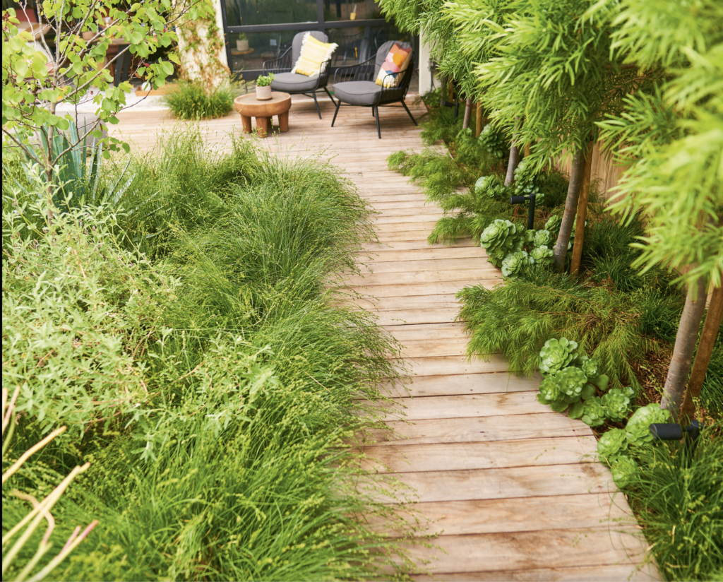 A wooden boardwalk winds through lush greenery in a garden. The path leads to a small seating area with two chairs and a round wooden table. Various plants, including tall grasses and leafy shrubs, border the walkway, creating a natural, accessible pathway. In the background, a glimpse of a building with large windows can be seen, suggesting this is part of a residential garden design.