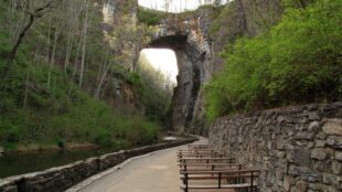 Photo of the iconic Natural Bridge at Natural Bridge State Park. The towering limestone arch, surrounded by dense forest, stands majestically over a serene pathway that follows a small stream. Benches are placed along the walkway, offering visitors a peaceful spot to admire the natural wonder and its tranquil environment. The rugged stone wall along the side adds to the rustic charm of the landscape.